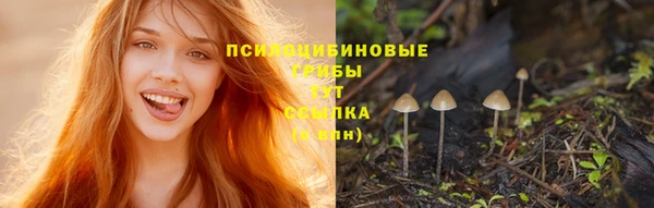 скорость mdpv Алексеевка