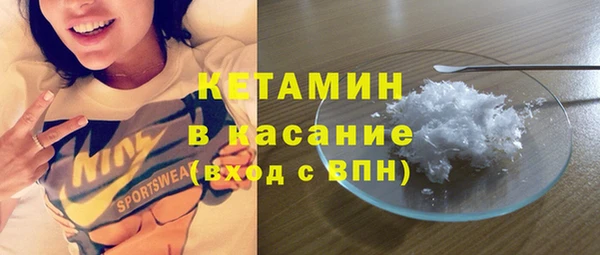 стаф Алзамай